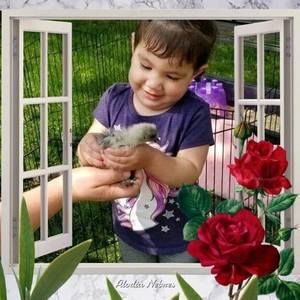 Meet your Posher, Norma